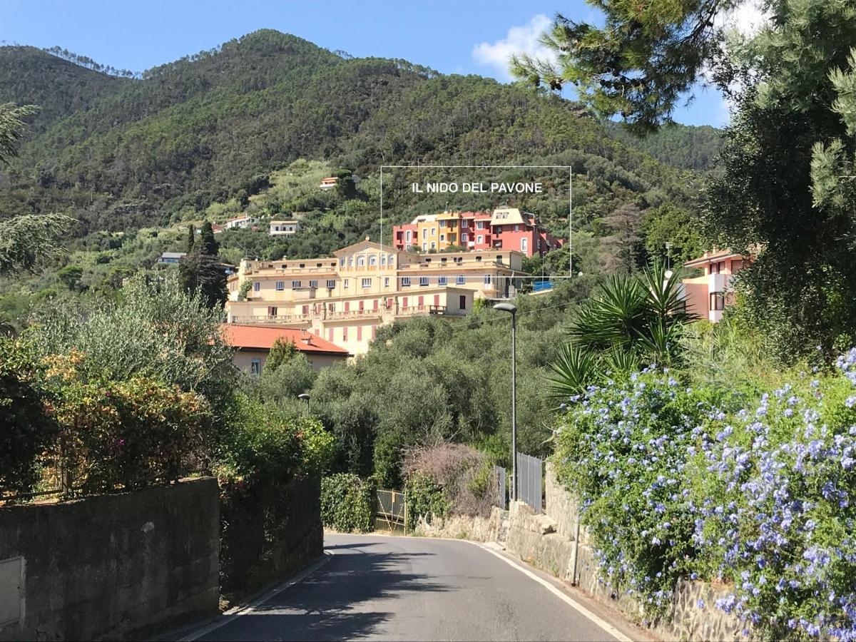 Il Nido Del Pavone Apartment Monterosso al Mare Exterior foto